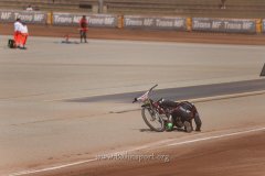 IMG_0603