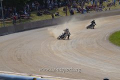 DSC_1000194