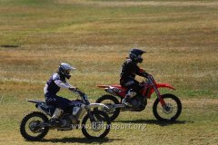 IMG_0221