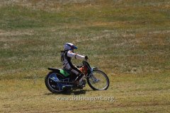 IMG_0252