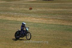 IMG_0263