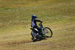 IMG_0308
