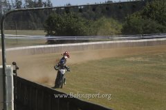 IMG_0331