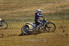 IMG_0384