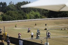 IMG_0445