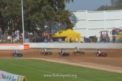 STom00519